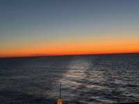 IMG_5725.JPG IMG_5725.JPG