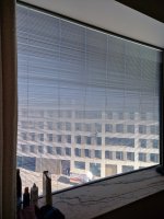 20250522_095542.jpg