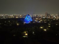 IMG_9695.jpg