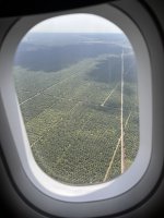 IMG_9612.jpeg