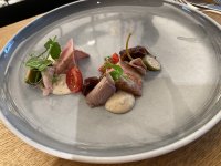 IMG_9775.jpeg