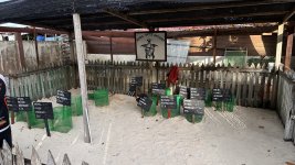 IMG_9663.jpeg