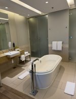 IMG_0928.jpeg