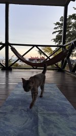IMG_9684.jpeg