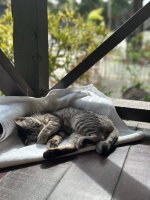 IMG_9714.jpeg