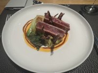 IMG_1691.jpeg
