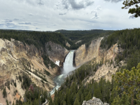 1750151409281.png