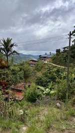 IMG_0072.jpeg