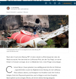 Screenshot 2025-06-20 at 10-43-18 Pilot zu Boeing-Absturz in Indien „Der Dreamliner ist ein se...png