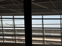 IMG_5333.JPEG