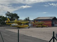 IMG_5549.JPEG