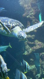 IMG_6294.JPG