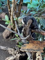 IMG_6310.JPG