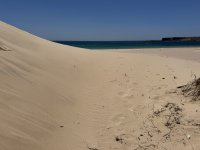 IMG_5594.JPEG
