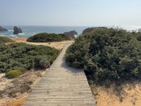 IMG_5797.JPEG