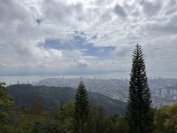 IMG_0458.jpeg