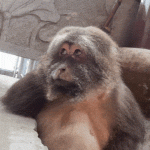 1000018114.gif