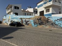 IMG_5833.JPEG