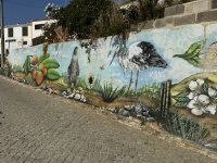 IMG_5843.JPEG