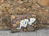 IMG_5863.JPEG