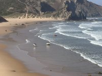 IMG_5900.JPEG