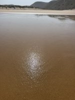 IMG_5916.JPEG