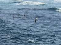 IMG_5985.JPEG