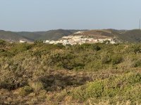 IMG_5992.JPEG