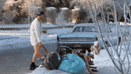IMG_1297.gif