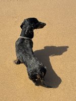 IMG_6090.JPEG