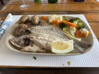 IMG_6116.JPEG