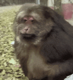 1000004413.gif