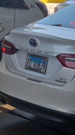 1000023016.jpg