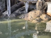 IMG_0546.jpeg