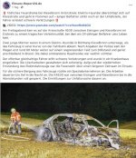 Nein, sie brennen nicht bei Unfällen.jpg