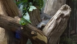 VFT_ZOO_3.jpg