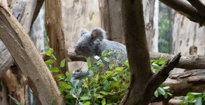 VFT_ZOO_4.jpg