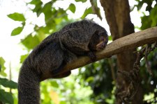 VFT_ZOO_8.jpg