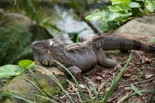 VFT_ZOO_12.jpg