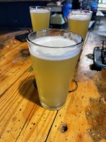 IMG_7672.jpeg