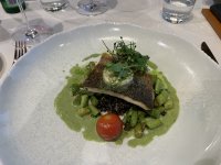 IMG_5806.jpeg