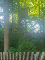 20250723_184312.jpg