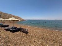 IMG_2893.jpg