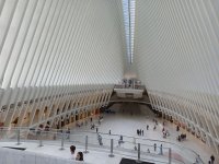 20250726_102626.jpg