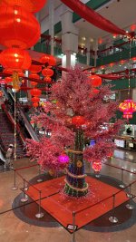 IMG_0887.jpeg