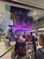 IMG_0958.jpeg