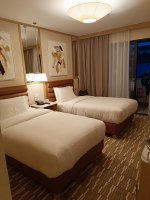 IMG_20250728_203807.jpg