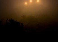 IMG_4750.jpg