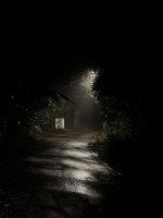 IMG_1659.jpeg