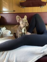 IMG_9045.jpeg